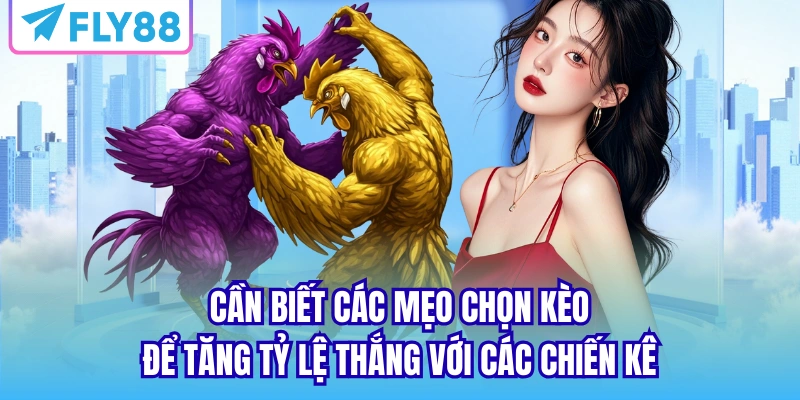 Cần biết các mẹo chọn kèo để tăng tỷ lệ thắng với các chiến kê
