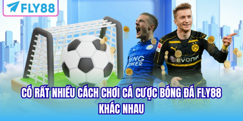 Có rất nhiều cách chơi cá cược bóng đá Fly88 khác nhau
